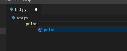 Python function's print name being typed.